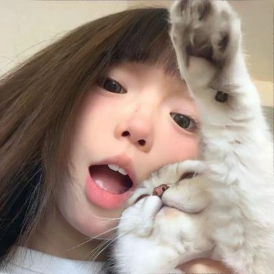极地情天